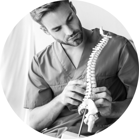 A focused chiropractor examining a model of the human spine in a clinical setting, depicted in black and white.