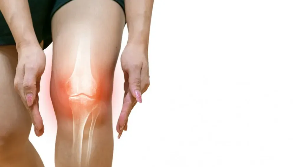 A person is holding their hands around a highlighted red area on their knee, indicating chronic joint pain in the joint, isolated on a white background.