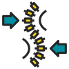 Spine alignment illustration with arrows showing movement.