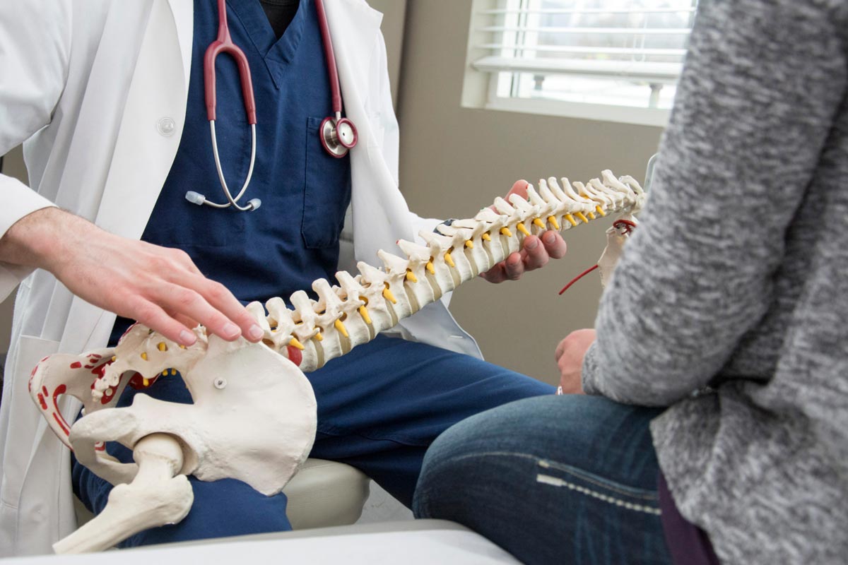 Healthcare provider explaining spinal alignment using a spine model during chiropractic care consultation for chronic pain relief