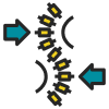 Spine alignment illustration with arrows showing movement.